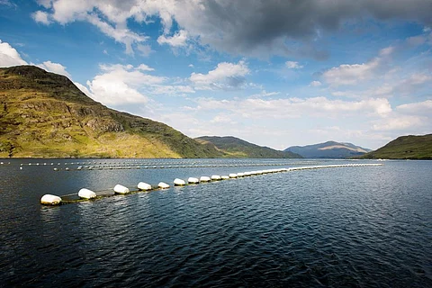 Mussel lines, Ireland.