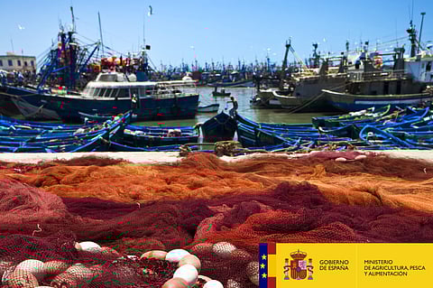 Spain's Ministry of Agriculture, Fisheries and Food will call for state-funded aid to subsidise modifications to fishing nets for the entire Mediterranean fleet.