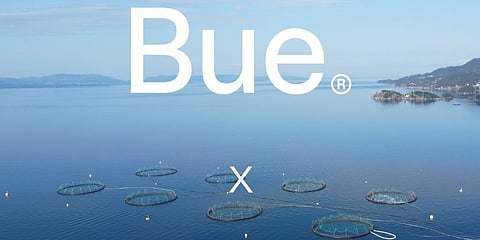 Bue Salmon was granted a license to produce 50,000 tons of salmon at its planned new land-based facility in Lutelandet, Vestland County.