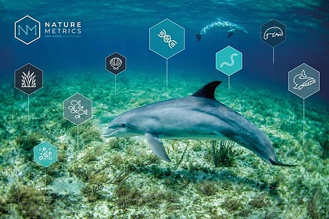 NatureMetrics uses environmental DNA (eDNA) technology and data analytics to provide site-specific biodiversity data.