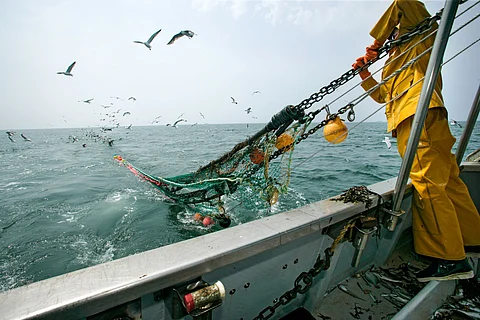 Fisherman working on a trawler operating in the Northeast Atlantic.
