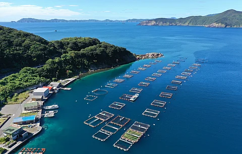Image of fishing and aquaculture / Aquaculture farm in Ainanchō, Ehime Prefecture.