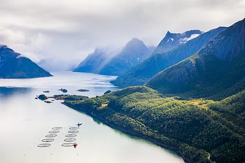 Nova Sea is based in Lovund, Lurøy Municipality in Nordland county, Norway.