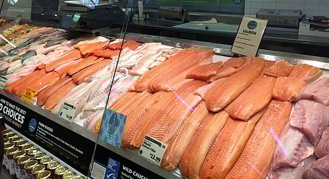 Fish counter in USA. Photo: Trude Bessesen.