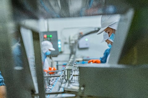 Irish partnership seeks new technological solutions for seafood processors