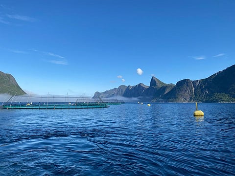 Pictured: a fish farm outside Senja.