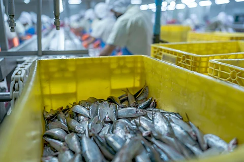 Close-up of a yellow crate filled with fish in a food processing plant, with workers wearing protective gear in the background, highlighting seafood sorting, hygiene, and industrial efficiency