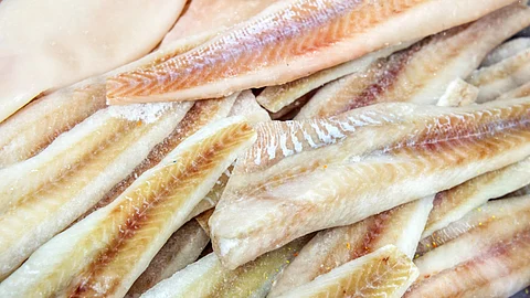 Many pieces of cod fillet. Fresh frozen sea fish.