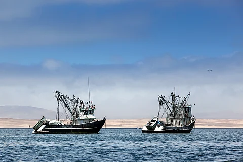 “Better targeted fisheries support and better management are essential to improving the profitability and resilience of the sector," said OECD Secretary-General Mathias Cormann.
