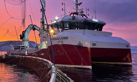 Abyss is a service vessel provider supporting the salmon farming industry in Norway and Iceland.