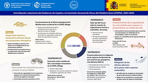 In 2021, the GFCM adopted the 2030 Strategy for ten years, focusing on fishing and ecosystems.