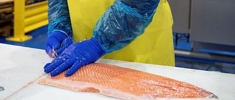 Fortune Fish and Gourmet is a founder-run importer, processor, and distributor of premium seafood