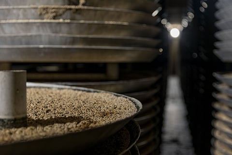 MycoFence® mycelium feed ingredient.