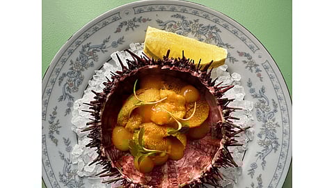 A presented dish of Oo-Nee Sea Ranch’s sustainably harvested sea urchin.