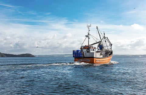 Ocean Fish Group's vessel Resolute.
