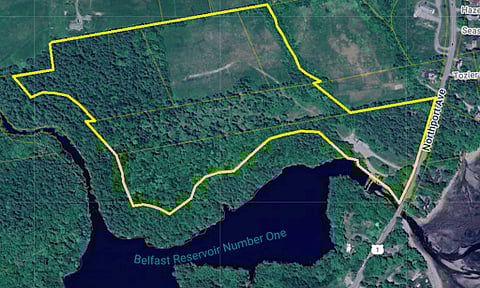 Nordic Aquafarms planned to build a $500 million land-based salmon farm.