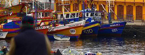 The fisheries for Deep-sea Cod, Squid, South Sardine (Los Lagos), and South Sardine (Aysén) have shown improvement in their status