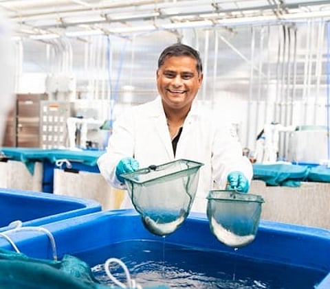 Pallab Sarker on July 12, 2021, at CASFS