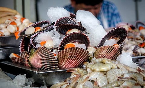 In 2024, Peru's national aquaculture harvest saw a 2.9% increase compared to 2023.