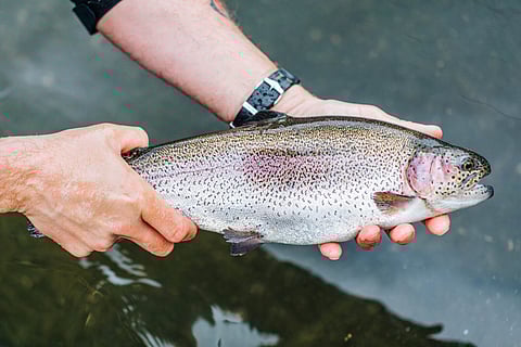 Erewhon, based in Los Angeles, is recognized for offering organic and high-quality products.