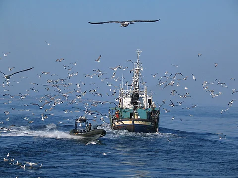 Also, the Spanish government confirmed it will finance changes needed to the national fishing fleet.