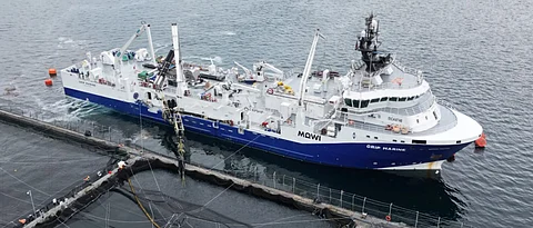 Grip Marine, a 3,300 cubic meter live fish carrier operating in Chile, is one of the vessels in the Trident Aqua Services fleet.