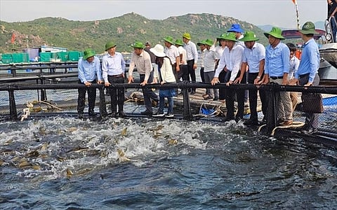 Khanh Hoa has an extensive coastline, making it a key area for fishing and aquaculture.