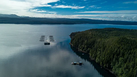 Fish farm near Vancouver, BC, Canada.