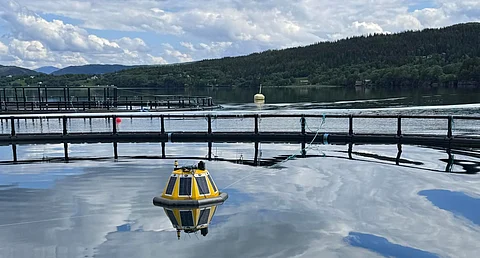 Akvaplan-niva have collaborated with Nova Sea on the project.