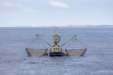 Fishery concept, Fishing boat sailing in the sea with net or trawl on the side to catch the fish.