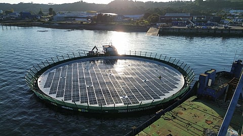 Completed pen with sea lion protection at Huar Norte, Chile. Solar panels have been installed.