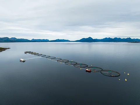 Nordlaks Dragnes site, Hadsel municipality, Norway, where infectious salmon anemia (ISA) was detected.