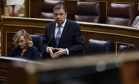 Minister of Agriculture, Fisheries, and Food, Luis Planas.