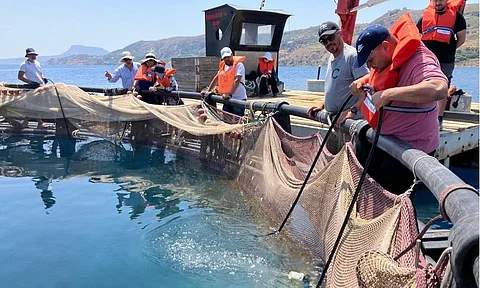 Participants received hands-on training in daily fish farm operations, including feeding, biomass monitoring, harvesting and net cleaning.