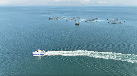 Drone footage of the vessel during a survey at Mowi's Isle of Rum farm.