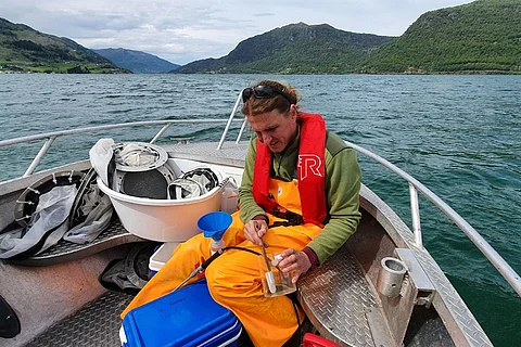 Testing of lice catchers in the Hardangerfjord, Norway.