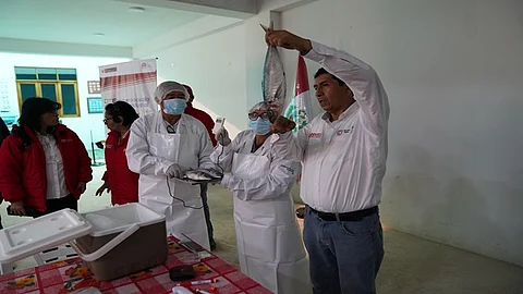 The 'CITEpesquero' in Callao has trained and guided artisanal fishermen in different areas.