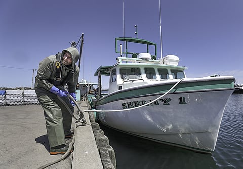 The Canadian province has announced a second round of funding recipients under its Fisheries and Aquaculture Energy Efficiency Innovation Fund.
