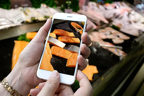 Hand holding a smartphone focusing on pieces of fresh raw salmon fillets.