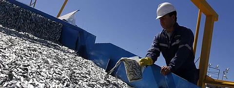 Subpesca reported the status of fisheries nationwide, with 54% of them in a healthy state.