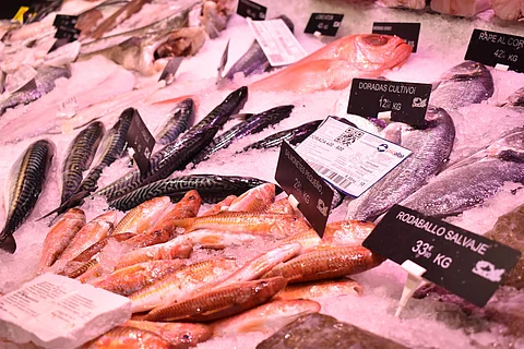 Fishmonger counter in Spain.