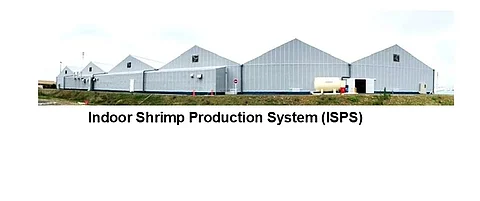 Large-scale Indoor Shrimp Production System (ISPS) plant in Shizuoka Prefecture (80 tons/year) for the Pacific whiteleg shrimp, Litopenaeus vannamei. Owned and operated by KAIKO YUKINOYA G.K.