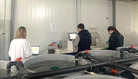 The Aquaculture Technological Center collaborates in the 'Andalucía Agrotech EDIH' project.