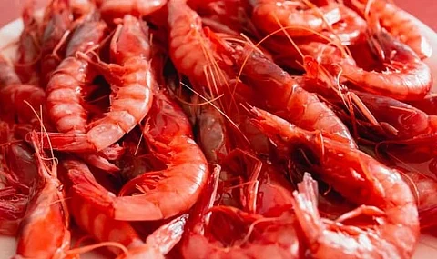 This adjustment will provide a boost to the fishing sector that depends on this species.