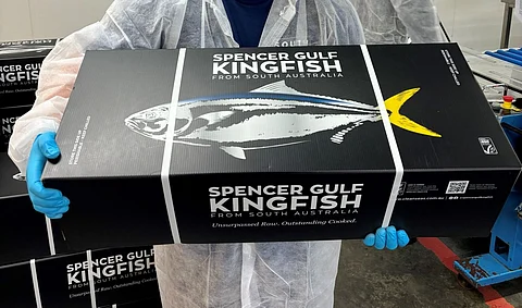 Clean Seas Seafood sustainable boxes.