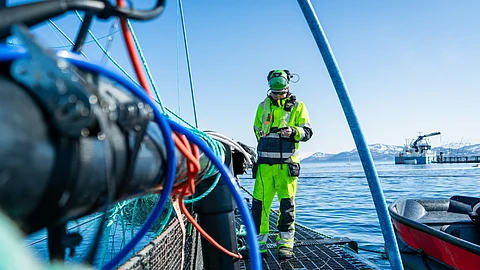 Seaqloud solution in a fish farm.