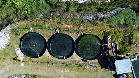 Aquaculture facility in Peru.