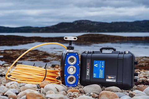 Producers can monitor remotely across species and locations.