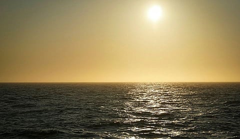 Seawater temperatures in Northern Norway last August reached 18 degrees celsius, the highest ever recorded.