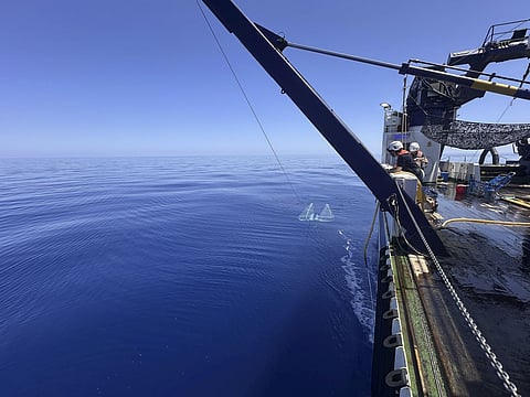 Part of this research has been funded by the European Maritime, Fisheries and Aquaculture Fund (EMFF).